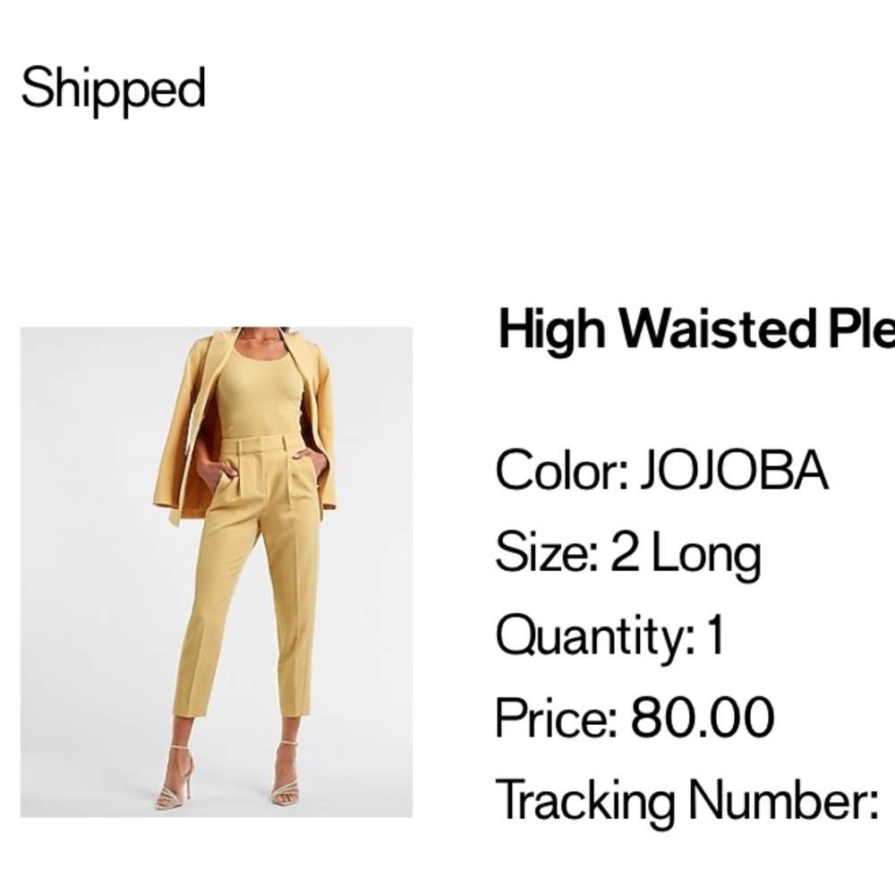 NWT Express High Waisted Pleated Ankle Pant